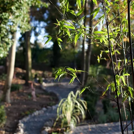 Hochwertige Serviced Und Monteurwohnungen In * Mülheim an der Ruhr