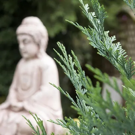 Hochwertige Serviced Und Monteurwohnungen In Apartamento *