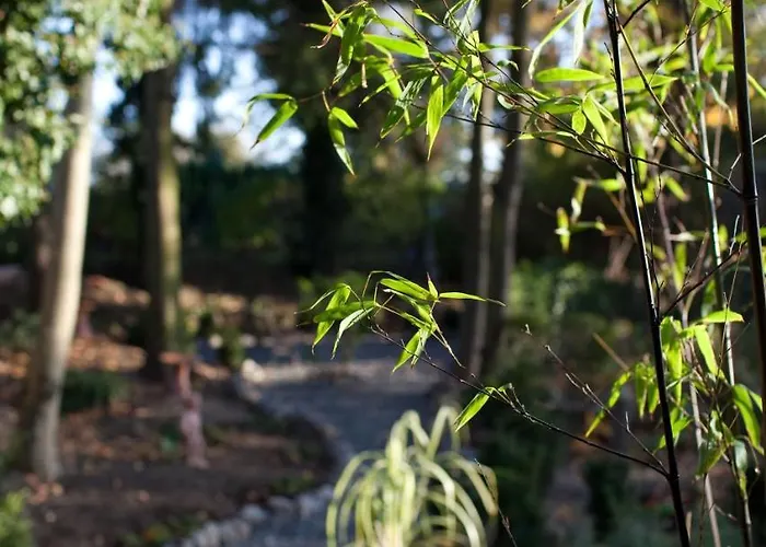 Hochwertige Serviced Und Monteurwohnungen In * Мильгейм-на-Руре