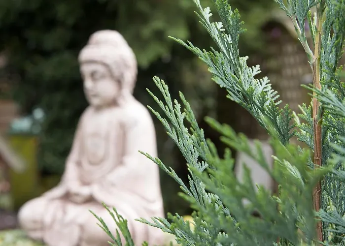 Hochwertige Serviced Und Monteurwohnungen In Апартаменты *